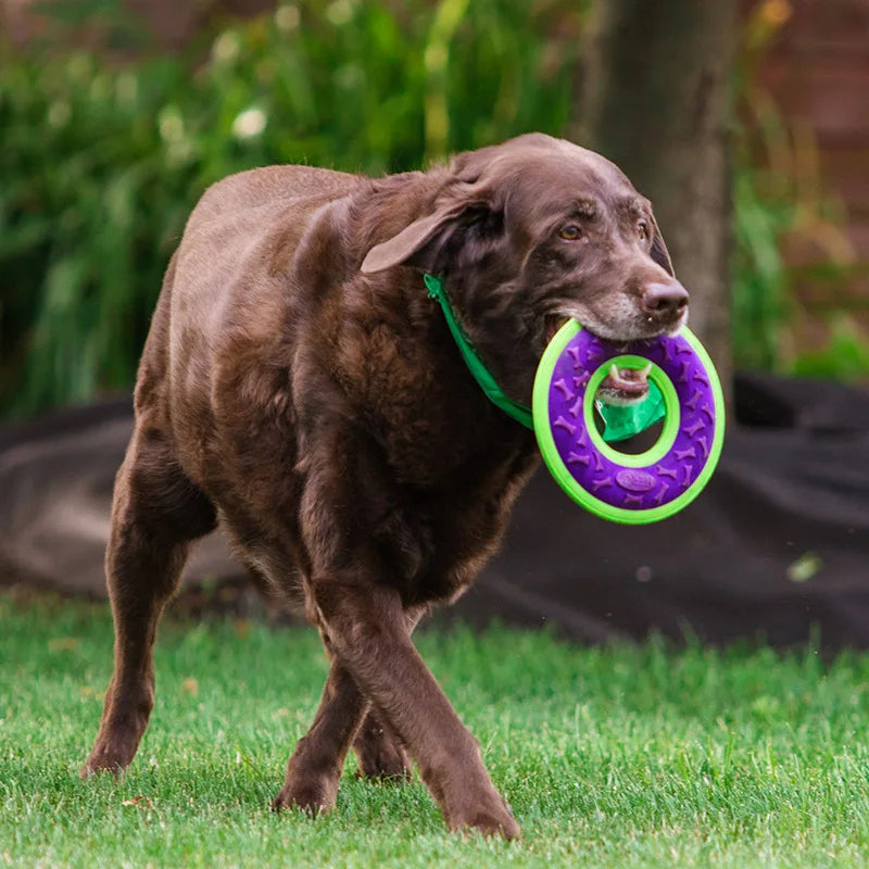 CAITEC Dog Toys Squeaky Flying Ring Durable Fit for Outdoor Throwing Suitable for Medium to Large Dogs